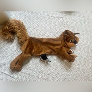 Dog squirrel costume- small to medium dog